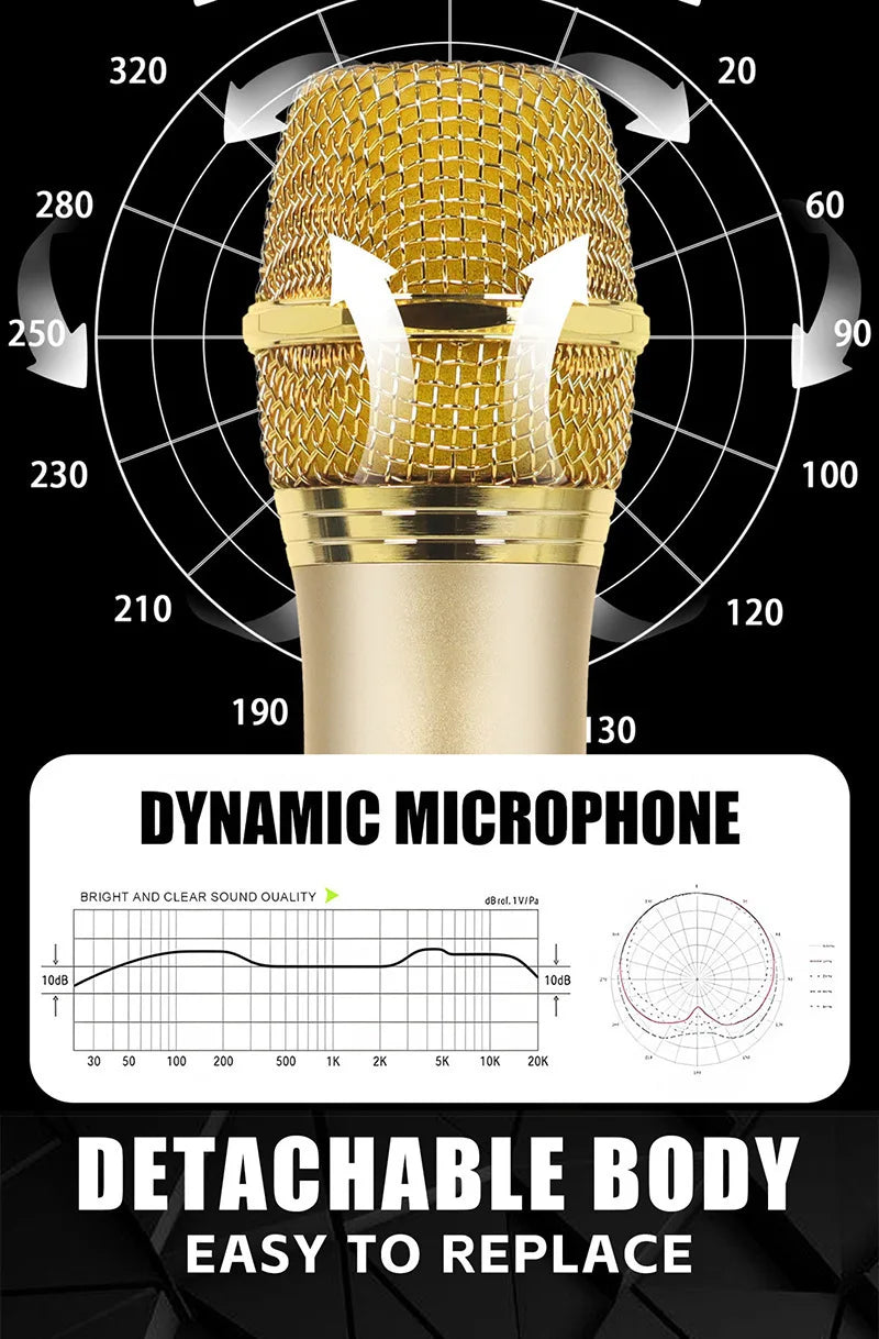 Xiaomi Wireless Microphone 2.4G UHF Fixed Frequency 2 Channels Handheld Micphone For Live Party Karaoke Professional Meeting