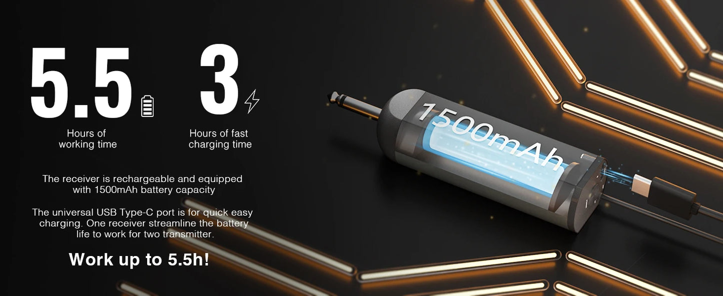 2 channel Digital Portable Wireless Microphone UHF Recording Karaoke Mic 900mhz Professional Handheld Mic Church PDP-2